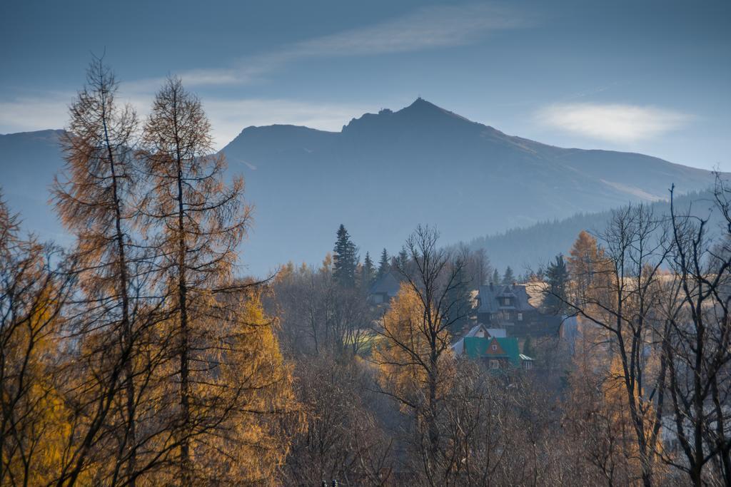 Willa Gardenia Zakopane Zimmer foto